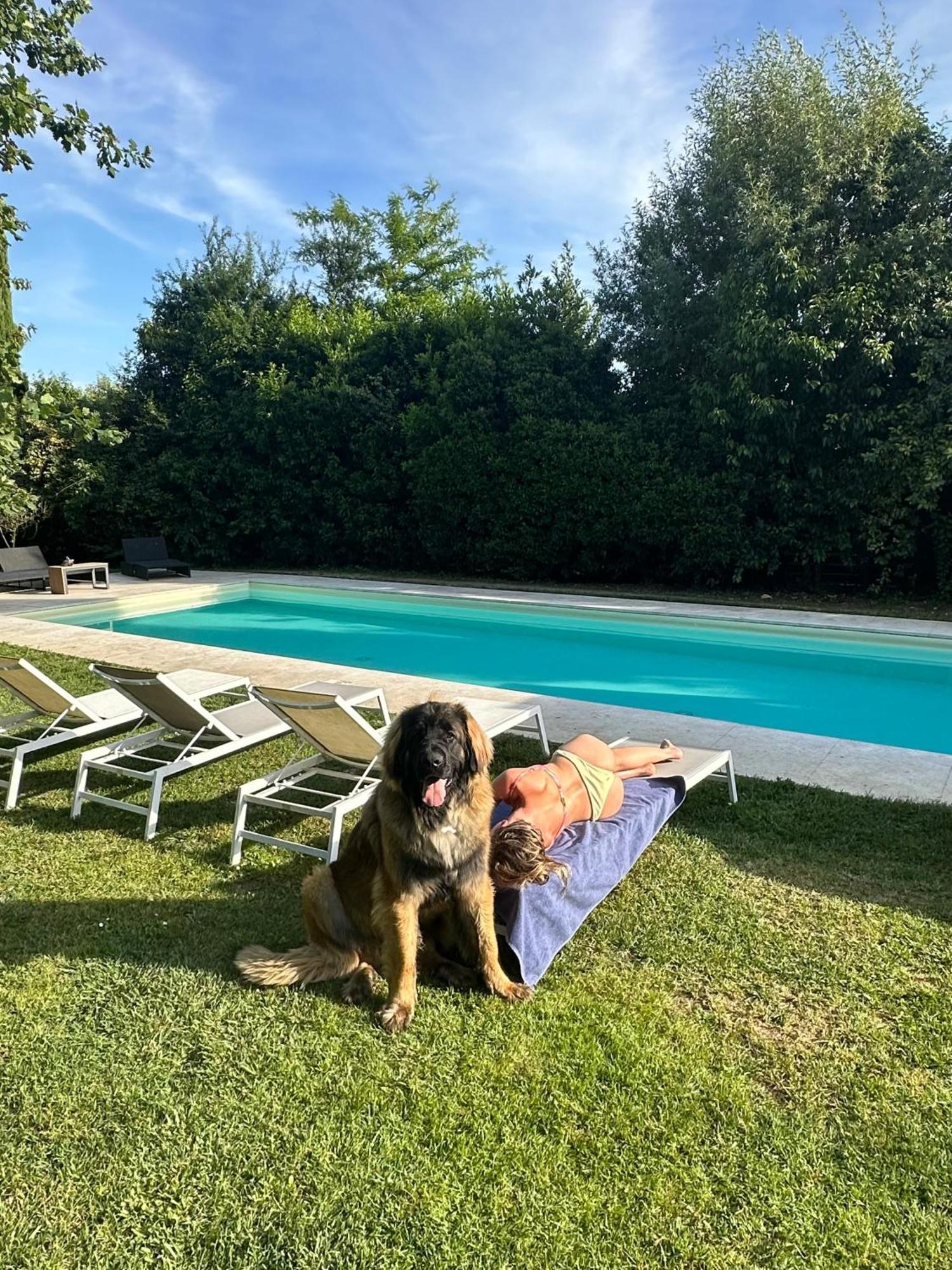Escape With Pool In Apartment Florence
