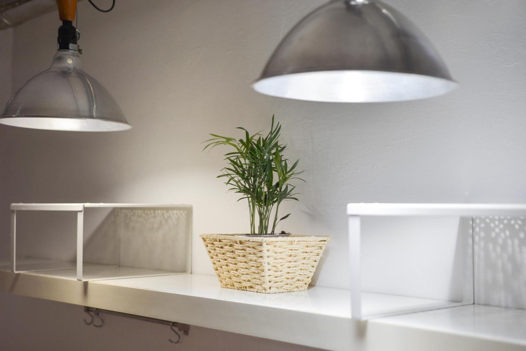 Apartment San Pierino Florence