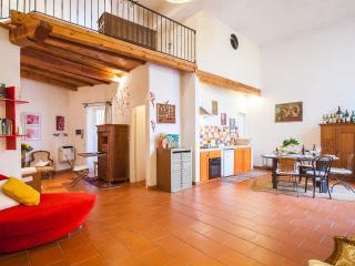 Apartment Loft Via Vannucci