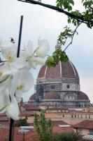 Hotel Signorelli Halldis