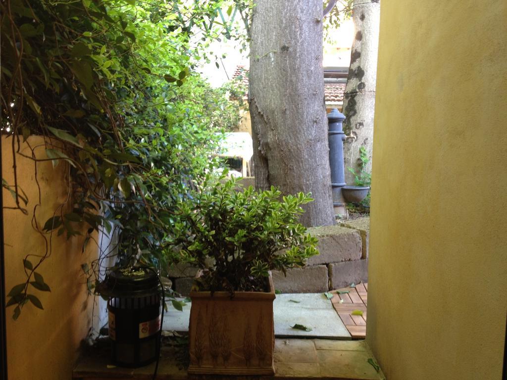 Tasso Garden *