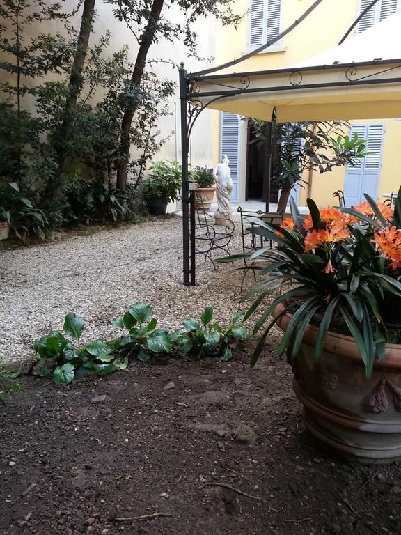 Little Garden Donatello