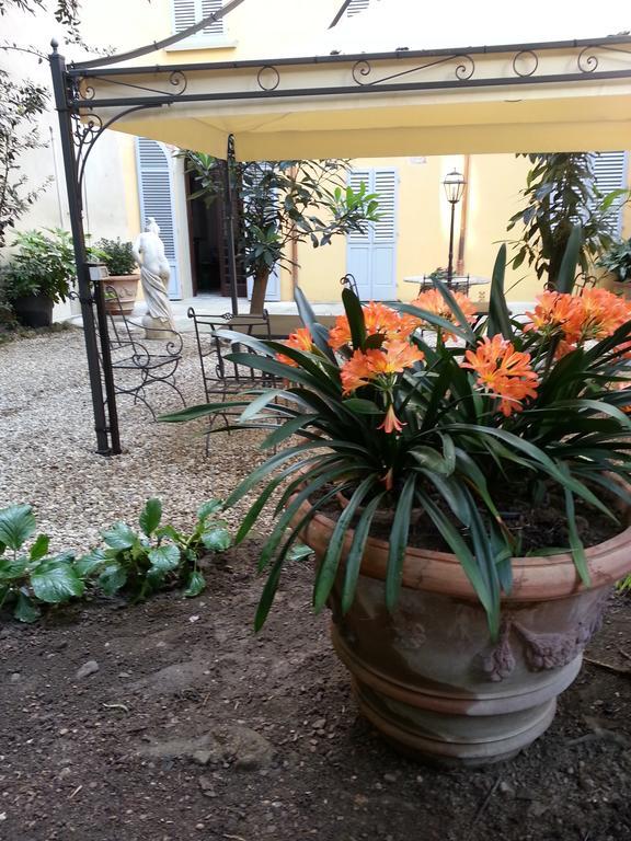 Little Garden Donatello Apartment