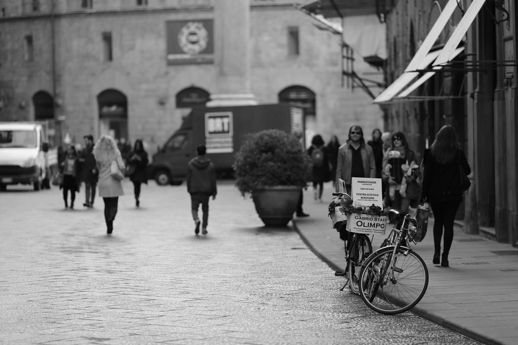 Apartment Palchetti Florence