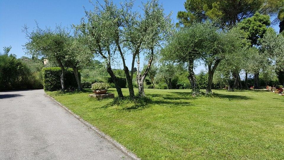 Country house Ulivello *