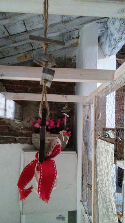 Apartment Sweet Mammalina *