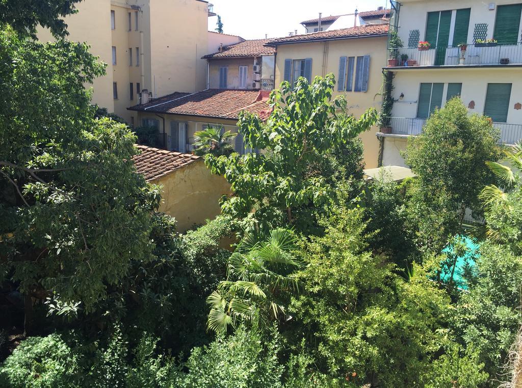 Urban Jungle * Florence