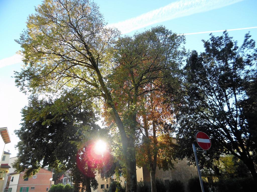 Green Park