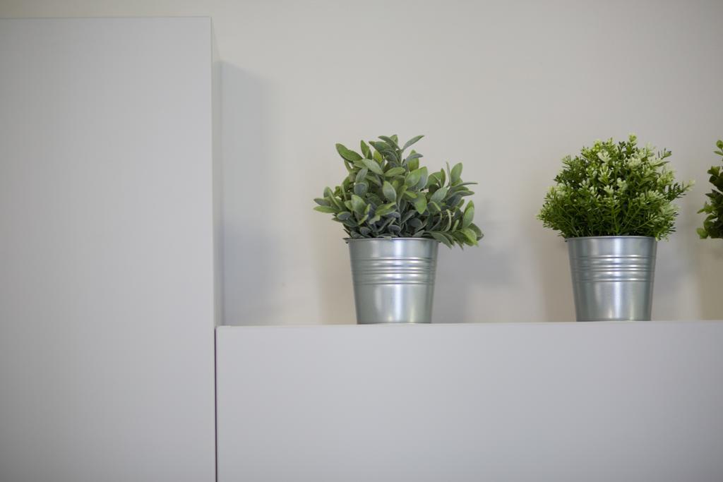 Apartment Beccaria *