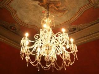 Plp Florence