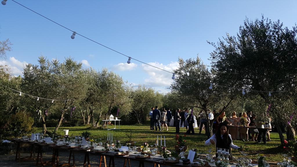 Ulivello Country house