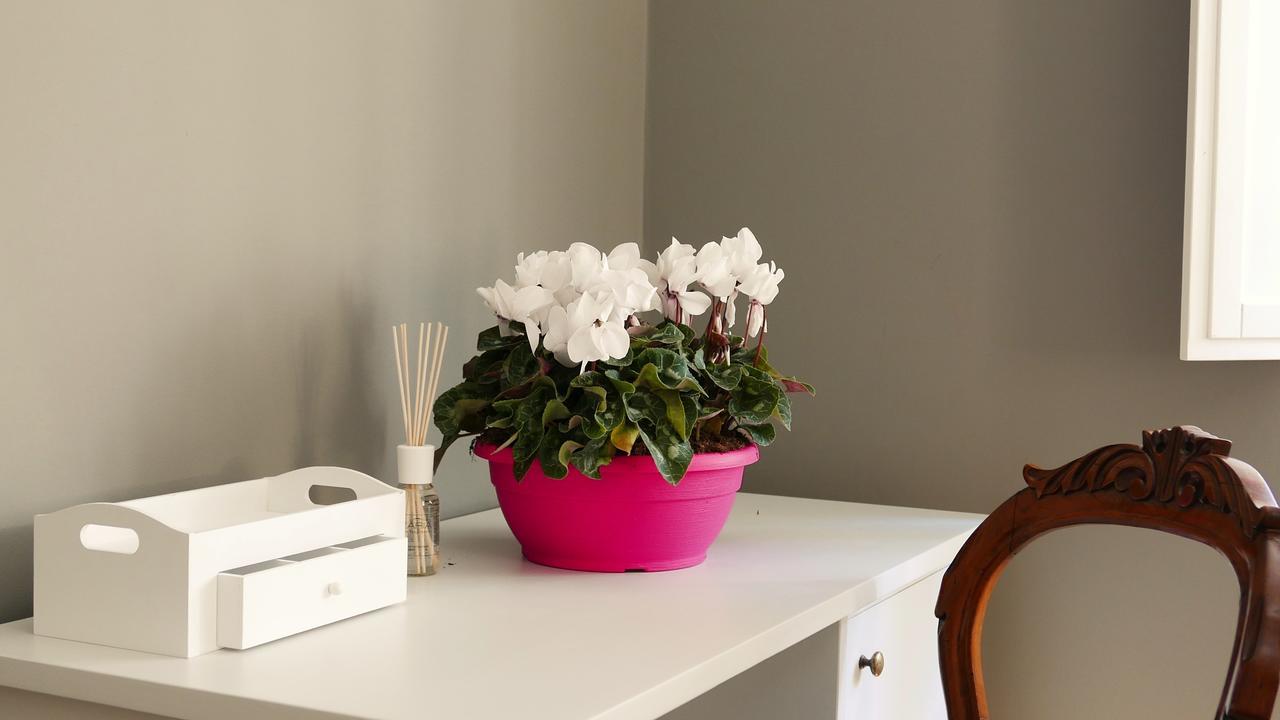 Residenza Maiano Bed & Breakfast Florence