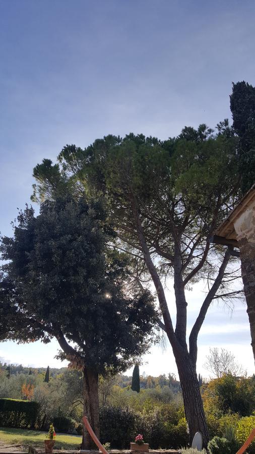 Ulivello Country house Florence