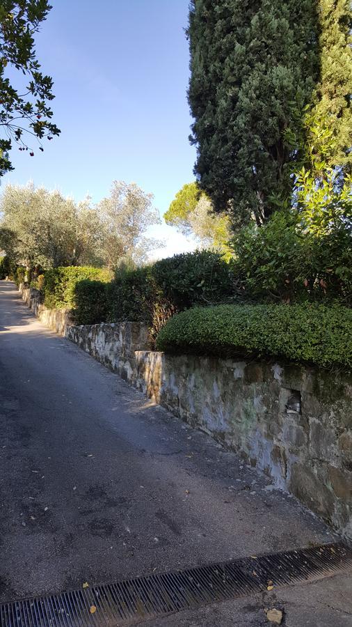 Ulivello *