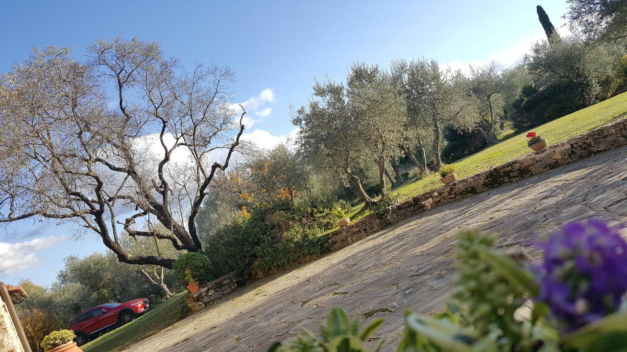 Ulivello Country house