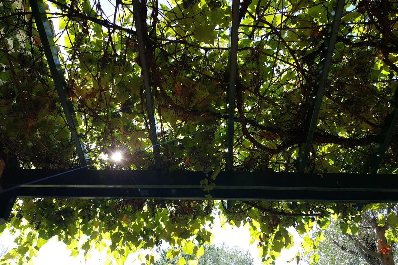 Country house Ulivello *