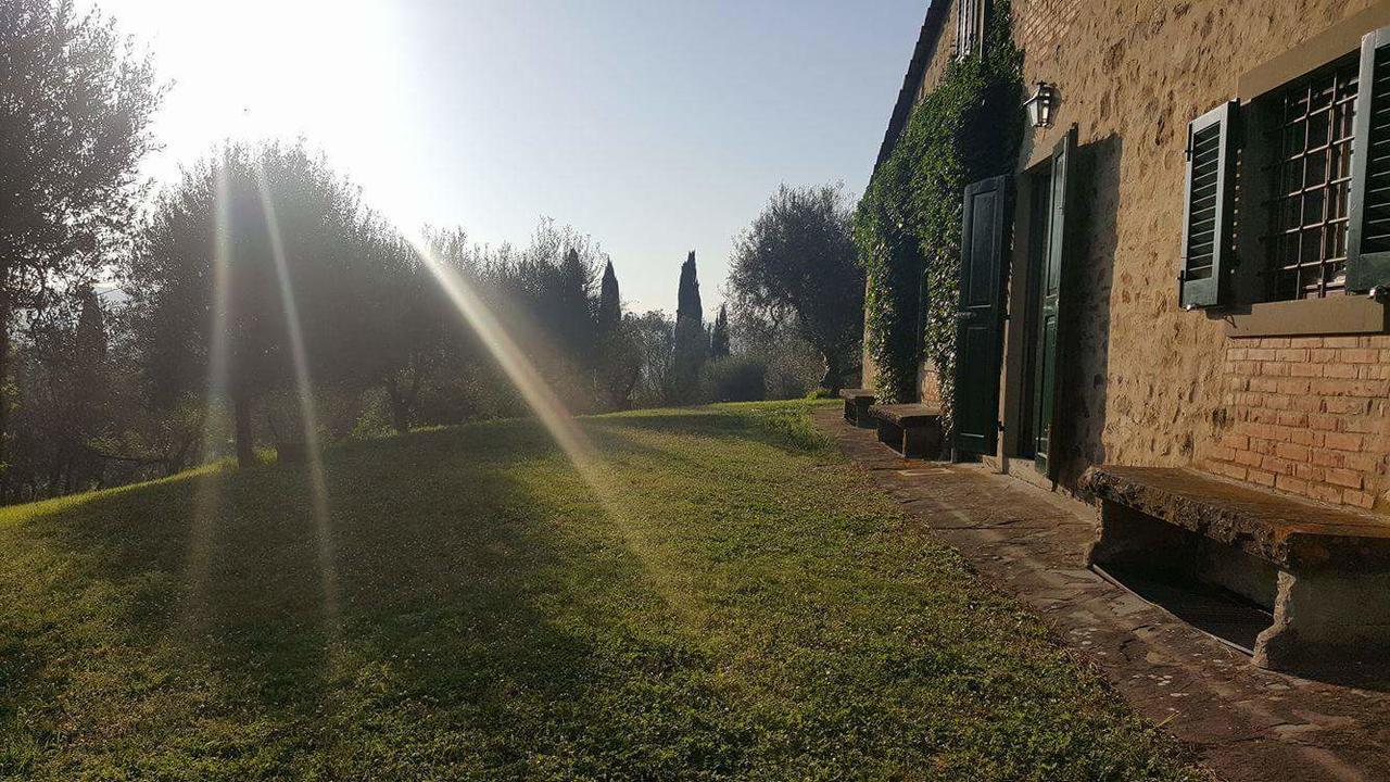 Country house Ulivello