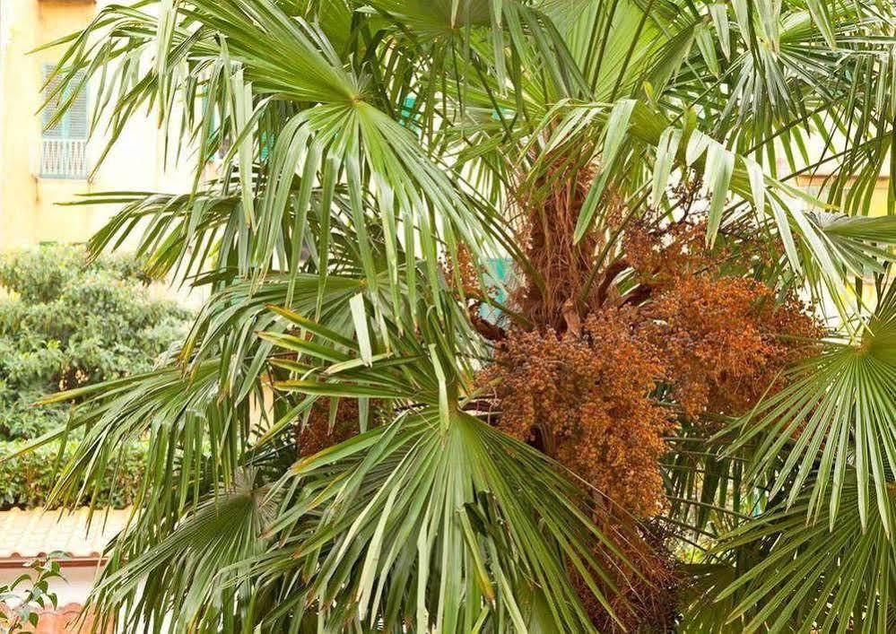 Hotel Garden