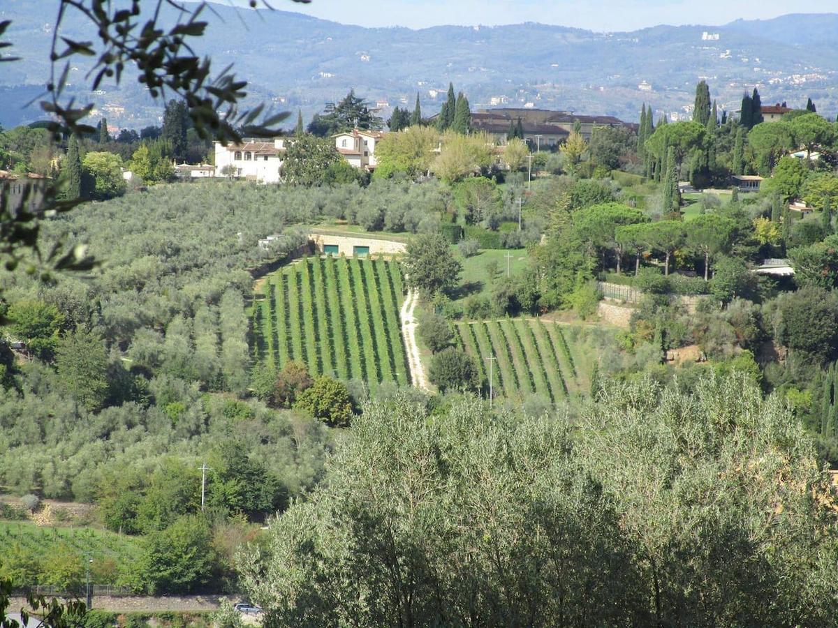 Ulivello Country house *