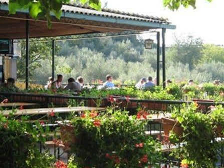 Camping Michelangelo Campsite 2*
