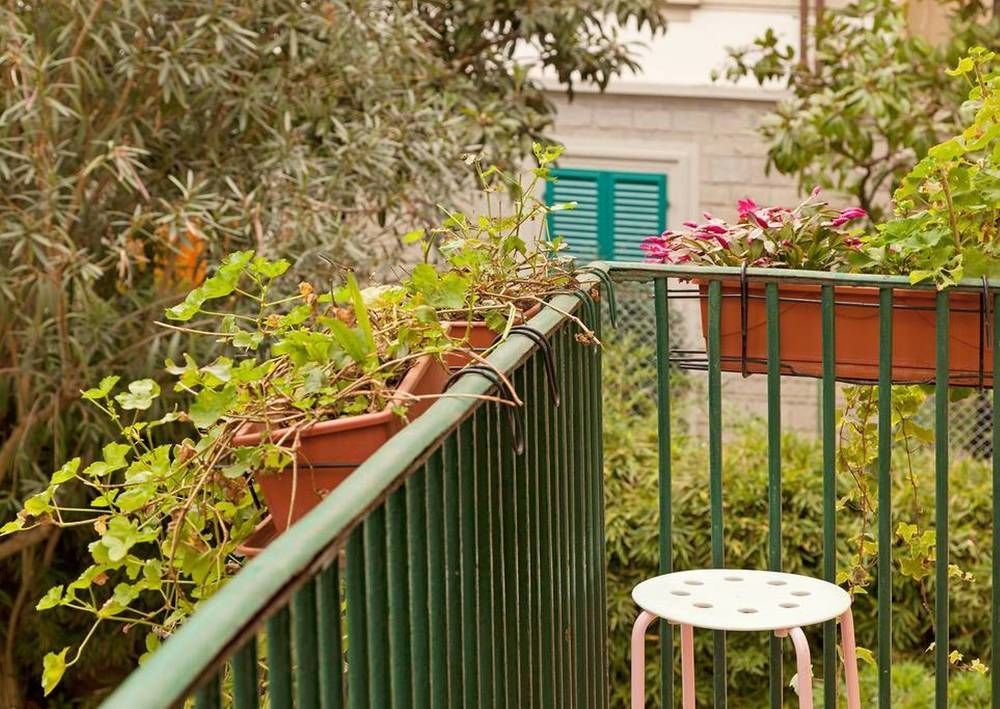Garden 3* Florence