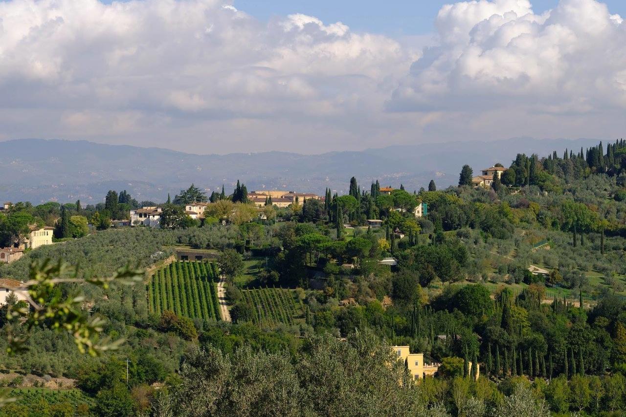 Ulivello