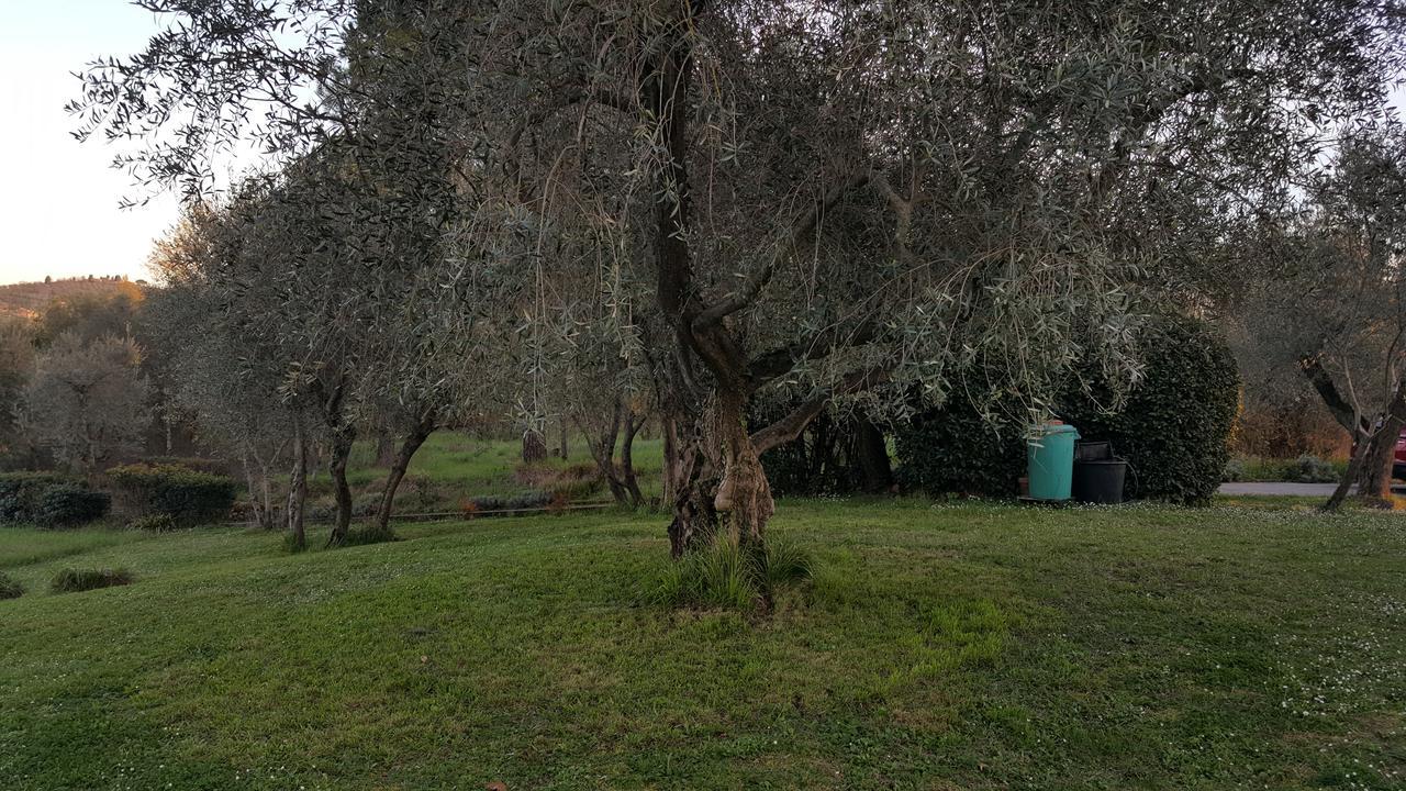 Ulivello
