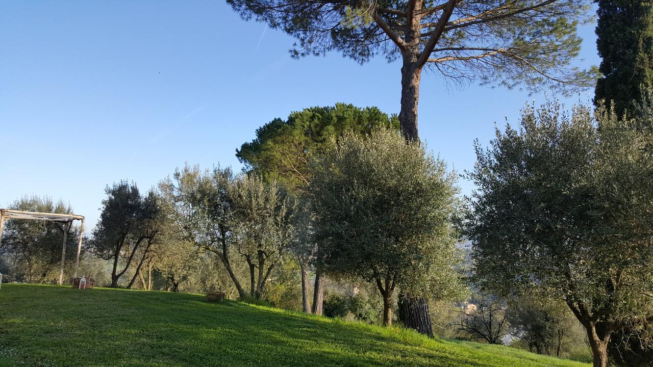 Country house Ulivello Florence