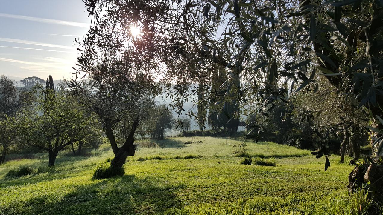 Ulivello Country house Florence