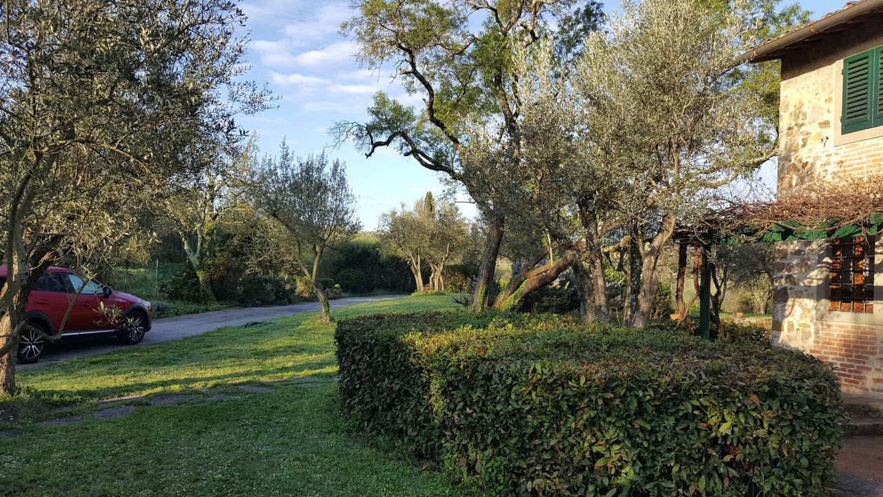 Ulivello *