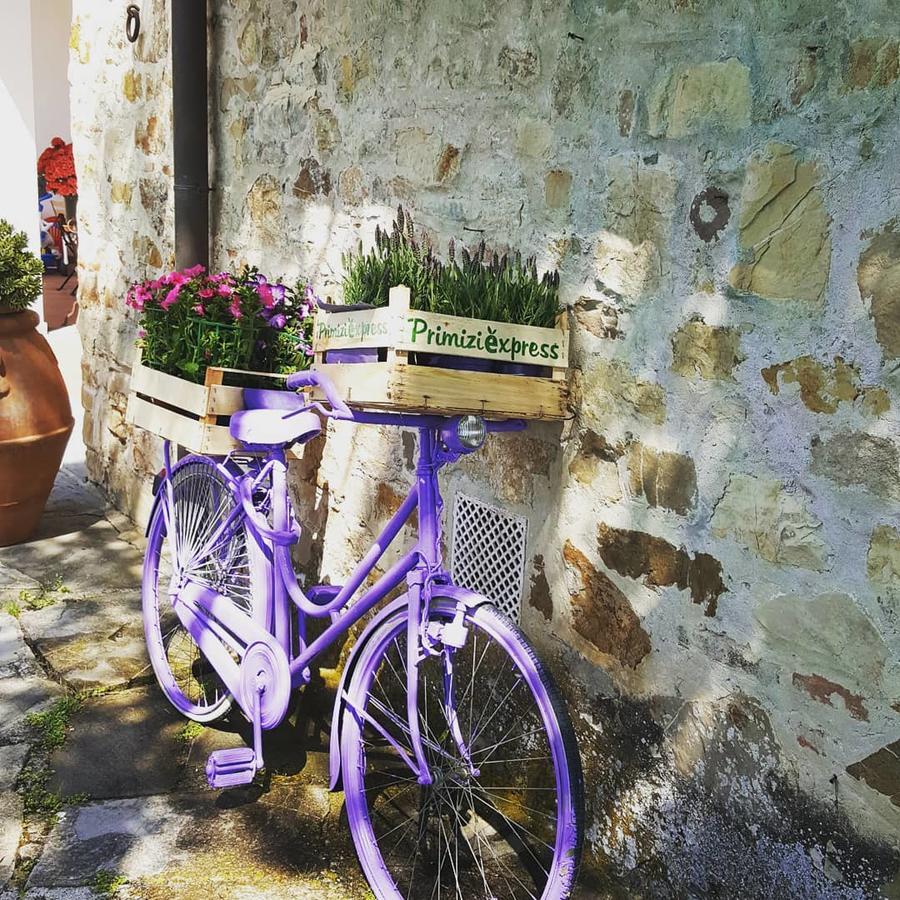 Ulivello * Florence