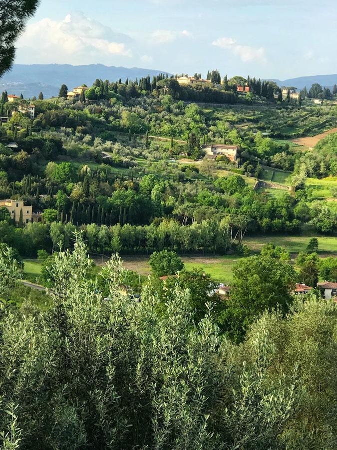 Ulivello * Florence