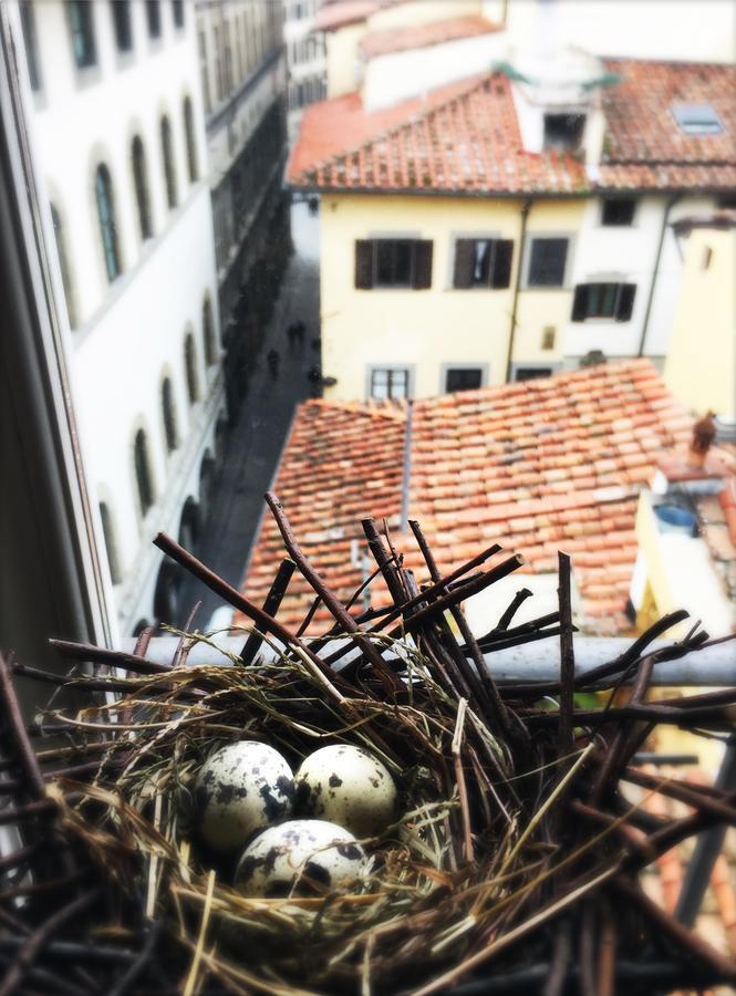 Apartment La Piccionaia Florence