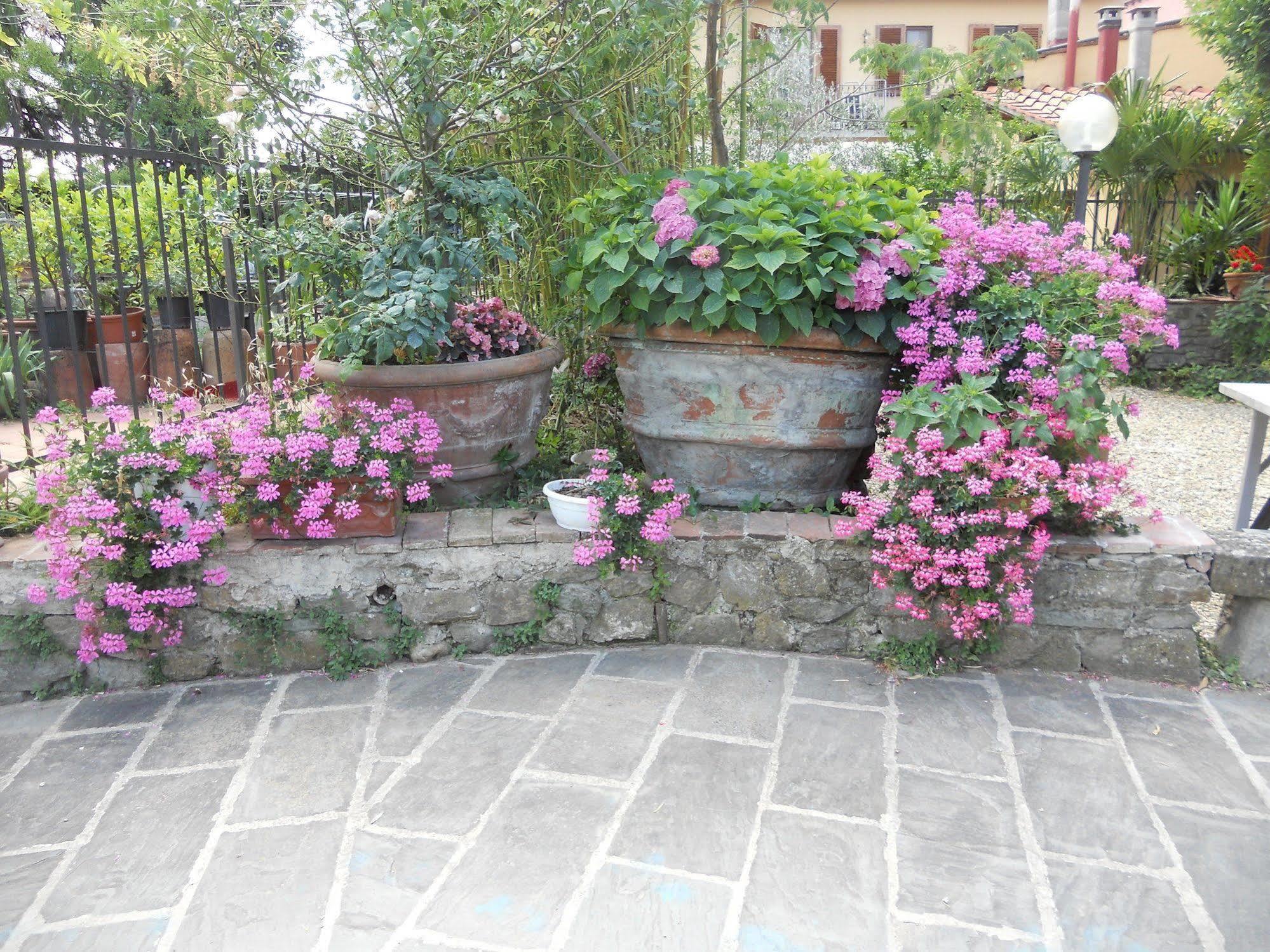 Séjour à la ferme Le Macine Florence
