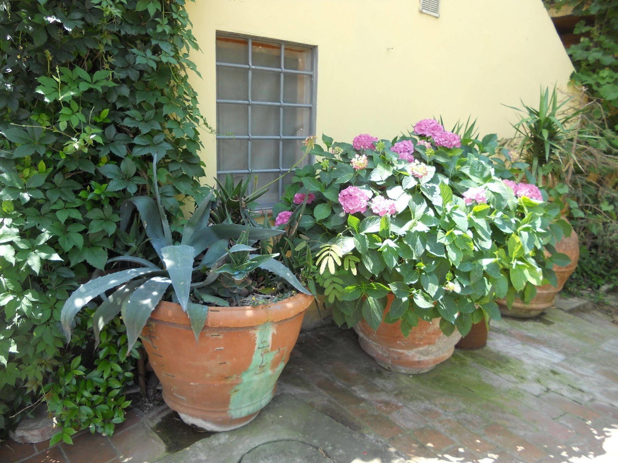 Séjour à la ferme Le Macine Florence