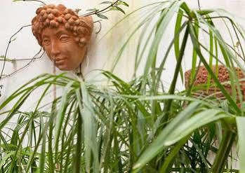 Hotel Garden