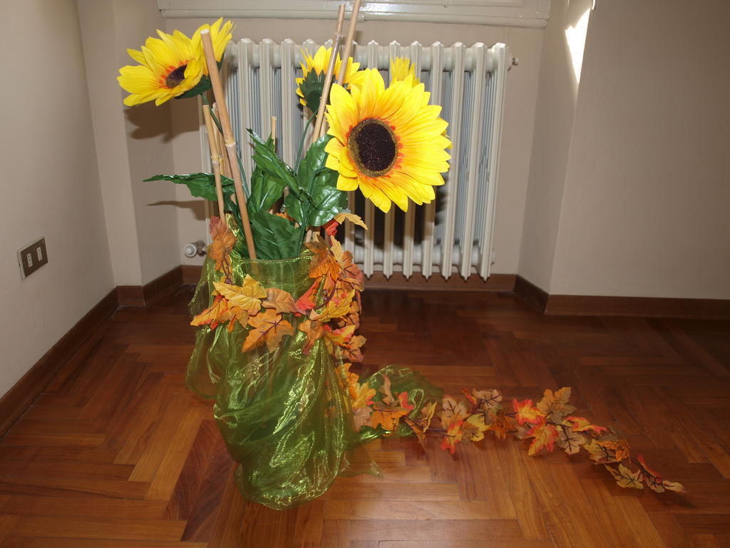 Il Palagetto