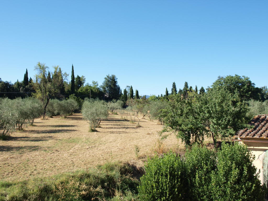 Farm stay Il Palagetto Florence