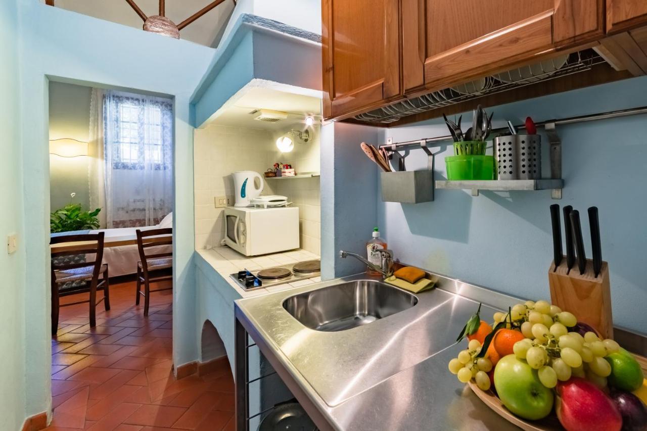 Oltrarno 9 Apartment Florence