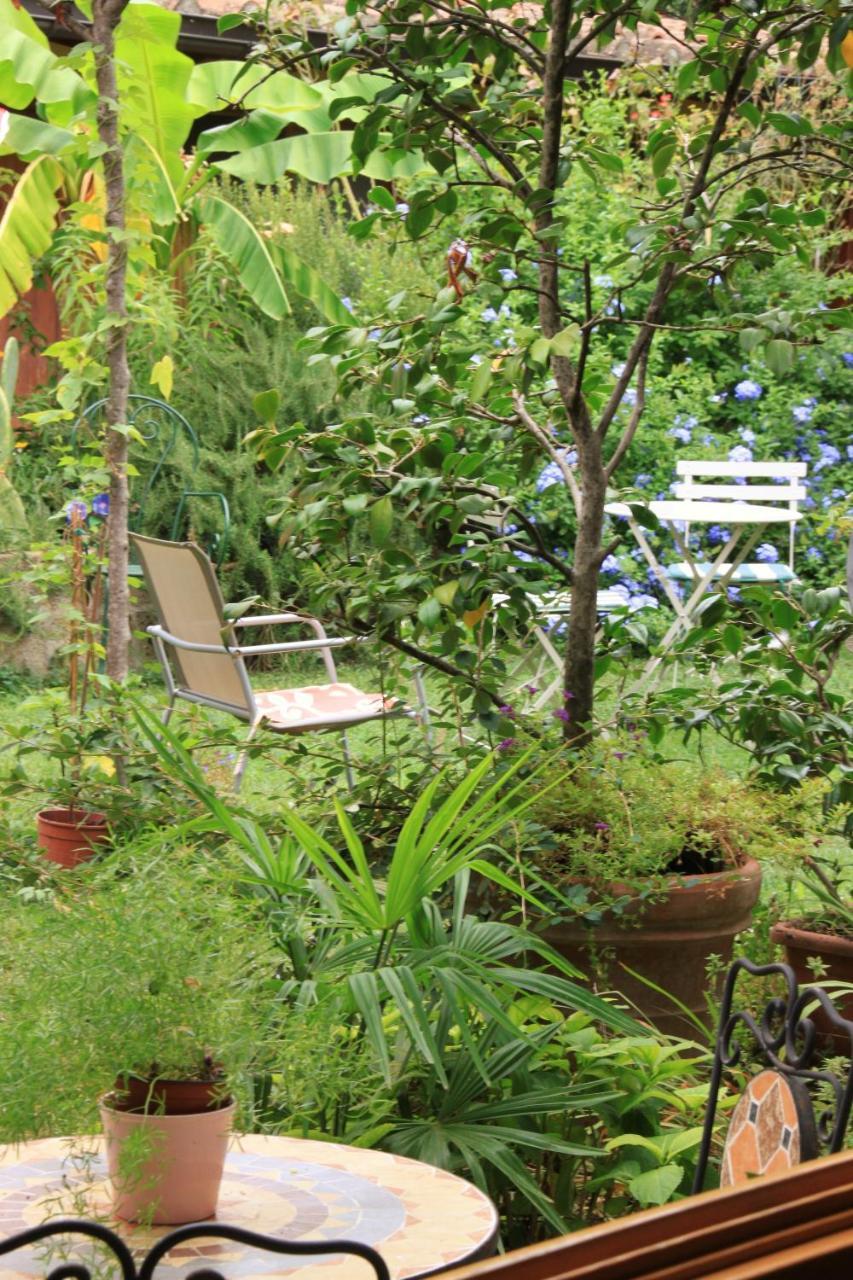 Apartment Garden Terrace Oltrarno *