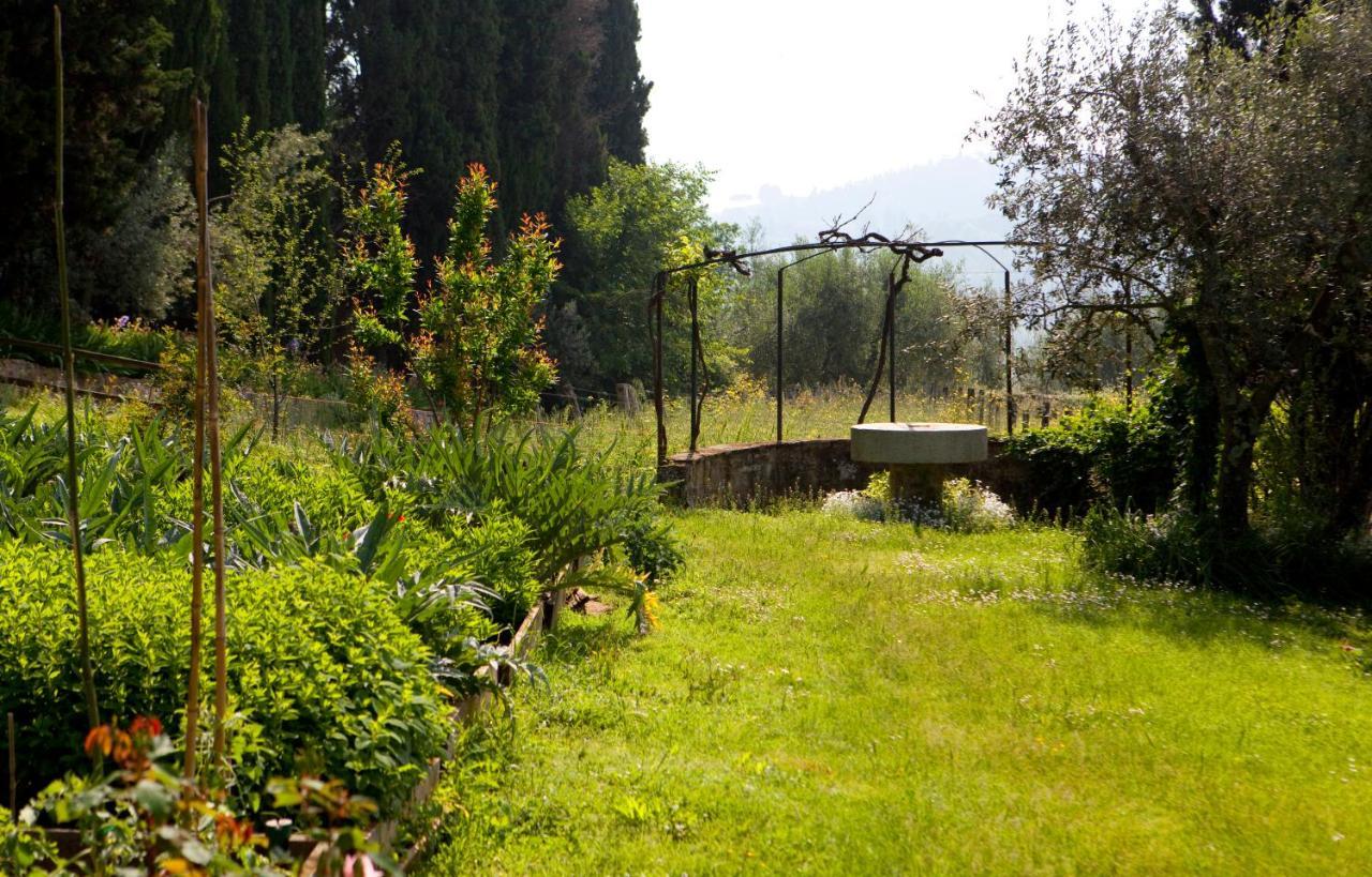 Casa Rosa