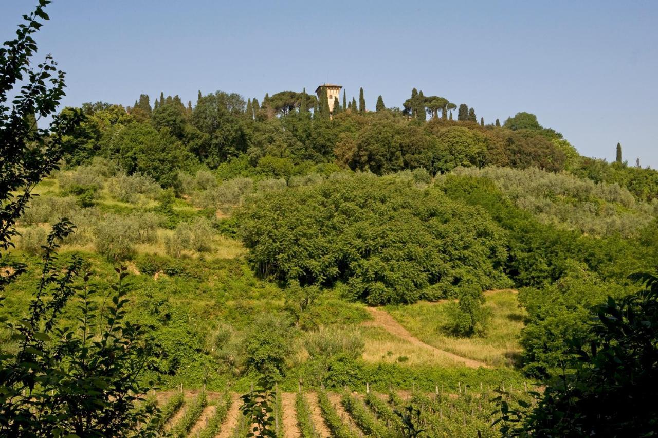 Casa Rosa
