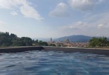 Michelangelo With Swimming Pool
