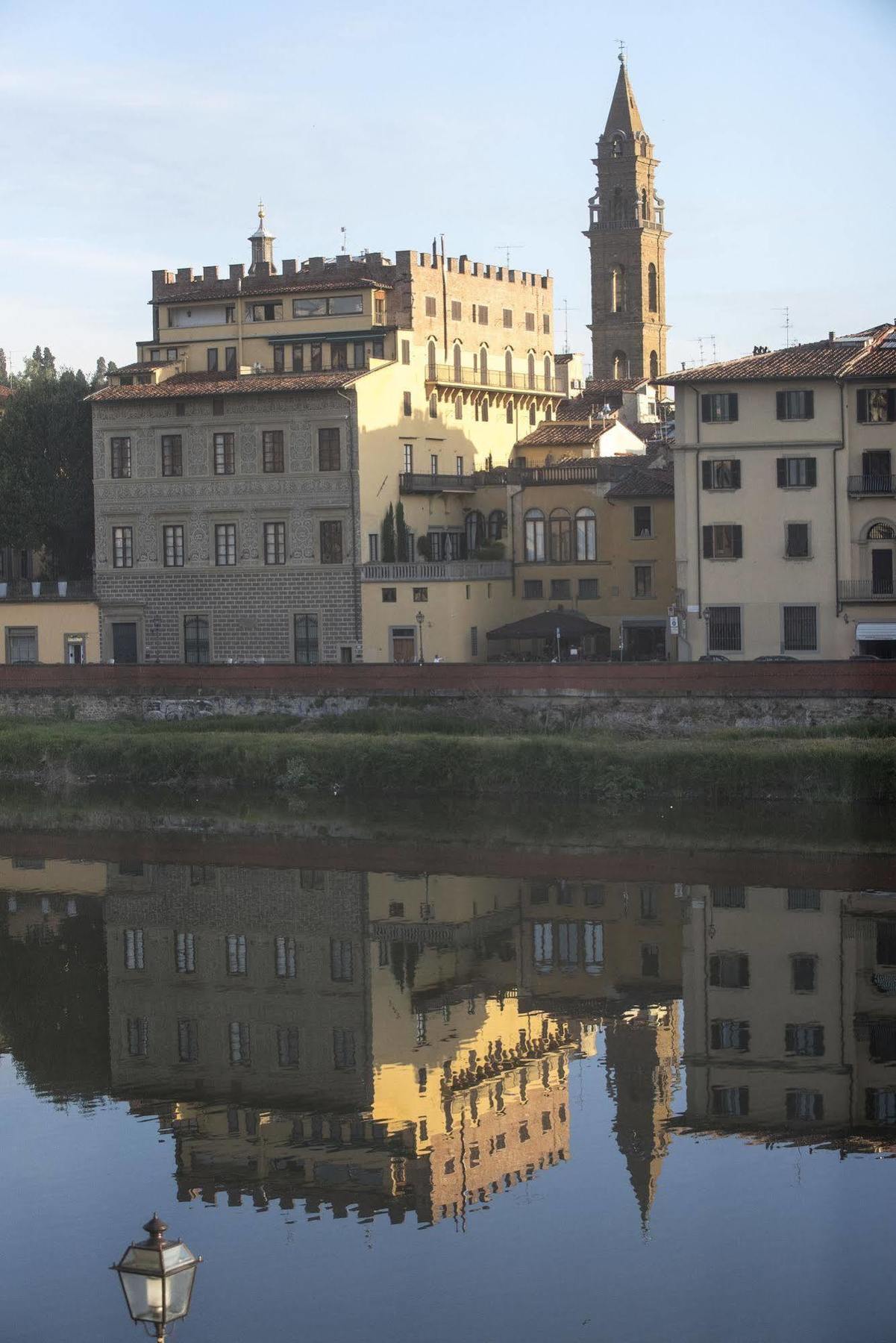 Leone Blu | Esperienze Florence
