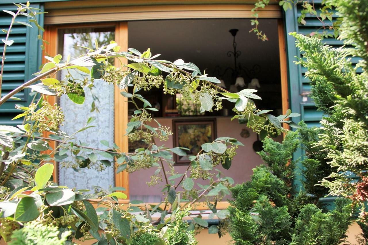 Garden Terrace Oltrarno Apartment