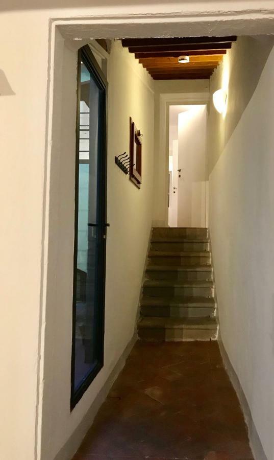 Alfani First Floor *