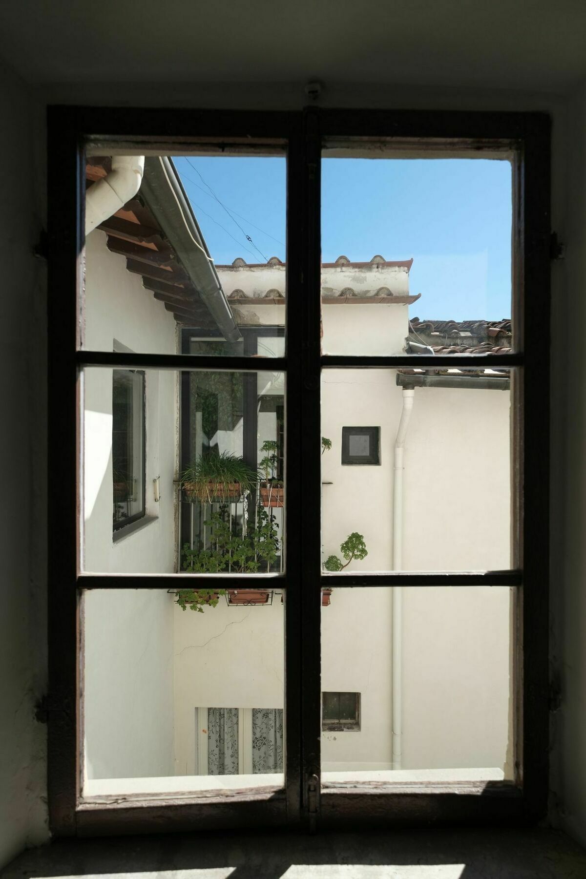 Magnificent Florentine