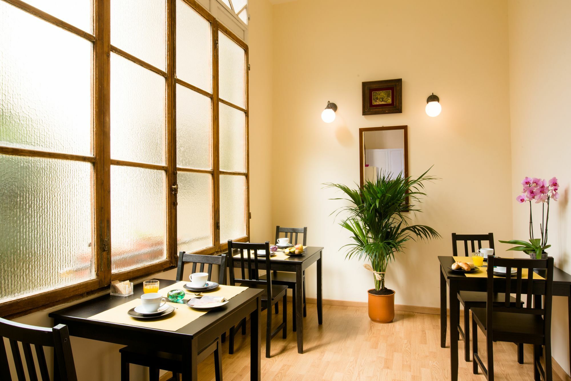 Orchidea 3* Florence