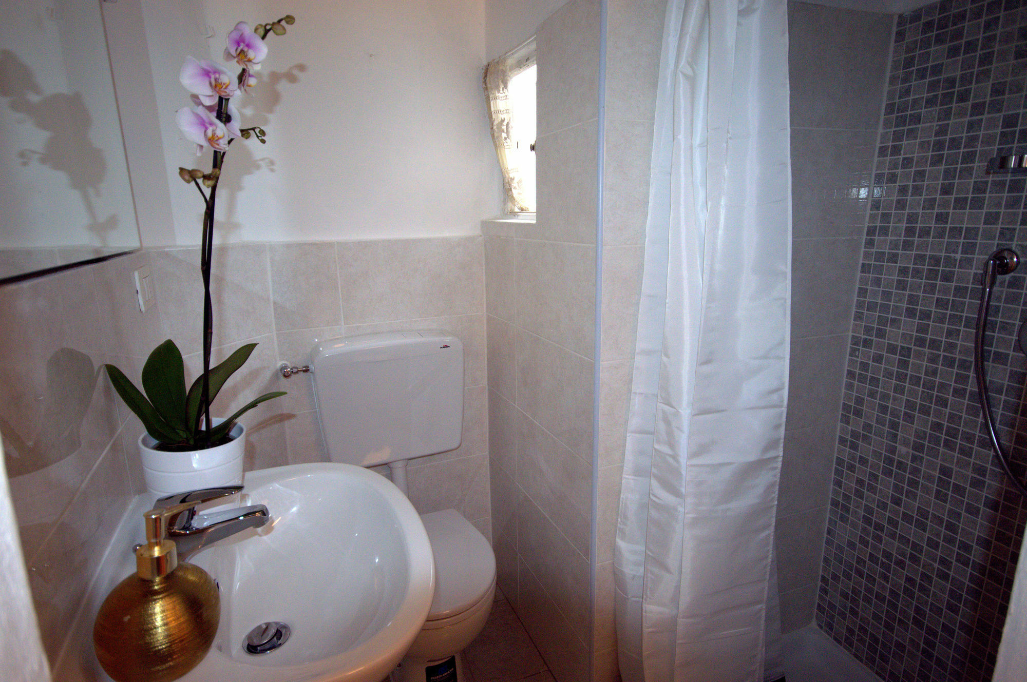 Prestige House Arno River *