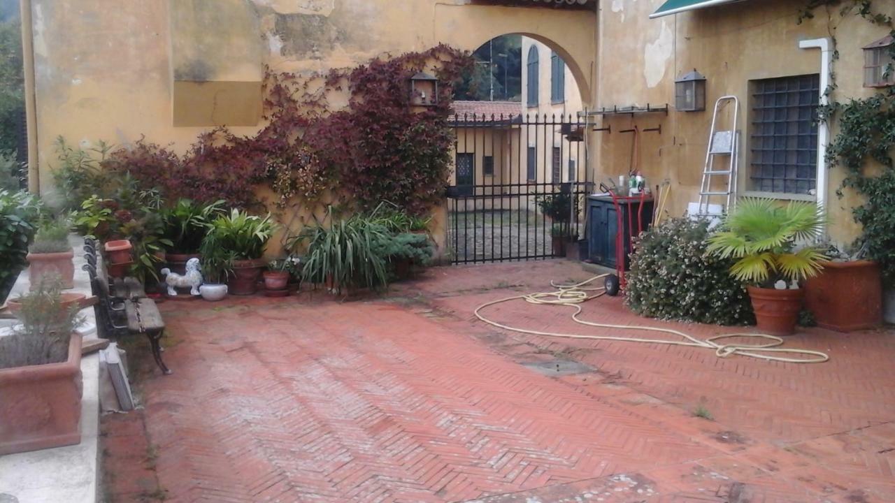 Simone 7 * Florence